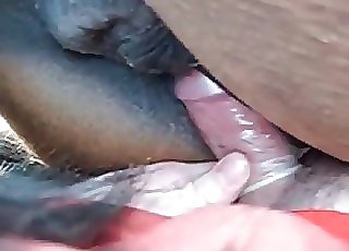 Sticking my chisel in a cock-squeezing horse anus