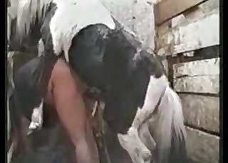 Amazing horse fucks the asshole of a man from behind