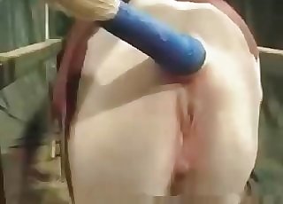 Sweet pony crack hard fucked by a big beefstick