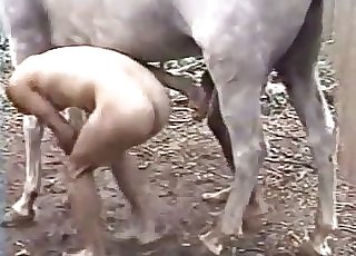 Sexy stallion penetrated her humid cunt