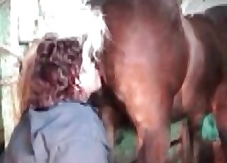 Filthy nymph giving a rim job to a splendid horse