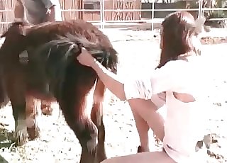 Wooly zoophile pummels with a horse
