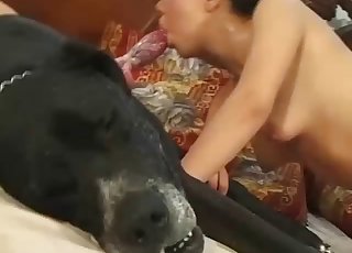 First-class zoo slut is gulping a doggy prick