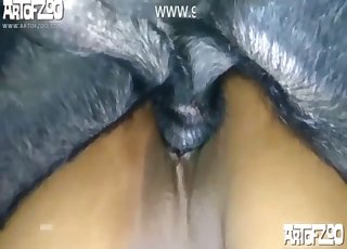Doggy stuck in her accurate wet cunt