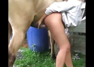 Hardcore horse porn action with a sex-addicted blonde