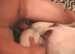 White dog adores hardcore sex