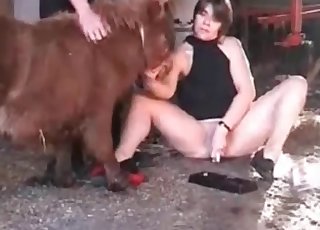 Amazing person is having oral sex session with a pony
