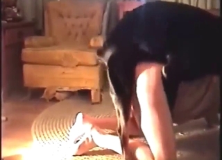 Gaping session with a black dog fucking him