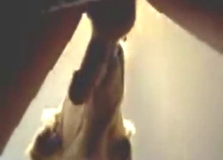 Hot body guy gets a nice blowjob from a doggo