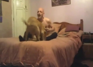 Special sex scene with a bald fucker and dogs