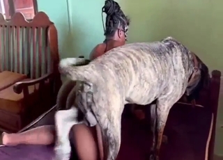 Flexible brunette arching her back during dog sex