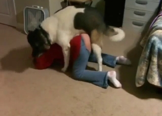 Good-looking lady wants to fuck her sexy dog