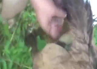 Sexy animal is going to get fucked, it's orgasmic