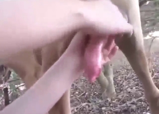 Aspiring zoophile wants to work ALL over that dick