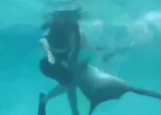 Taboo dolphin encounter with lots of teasing