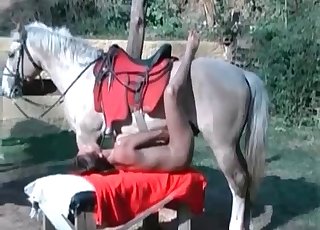 Leggy babe takes horse's huge cock - Bestiality Horse Fuck