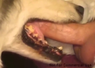 Guy goes mental as he fucks that animal's throat