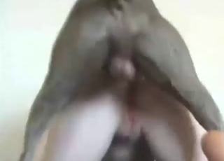 Fantastic and fascinating doggystyle fuck