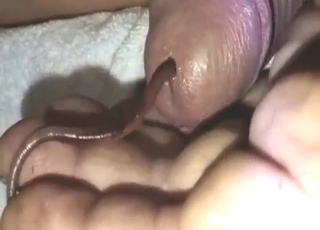 Wormy cock dude is going to steal the show