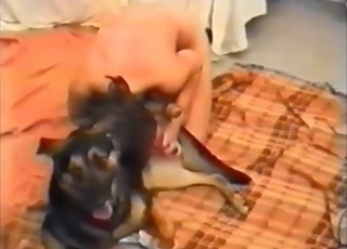 Dog's tongue is going to be of use to her puss