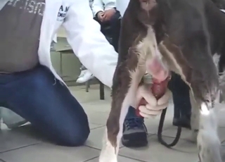 Seed sampling and tasting scheduled for later