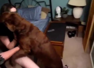 Zoophile teen with big boobs wants the knot