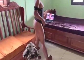 Beast-loving zoophile wants dog dicking here