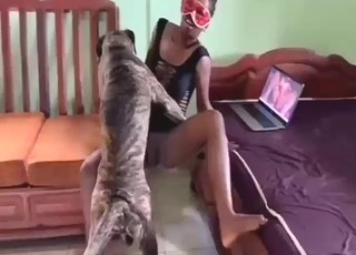 Beast-loving zoophile wants dog dicking here