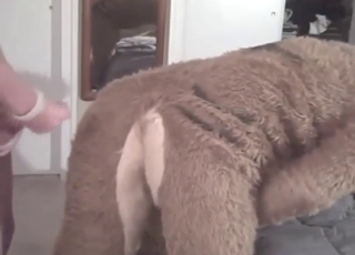 Disturbing zoo porn with a furry hole gaped