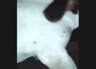 Huge booty MILF wants to fuck a sexy dog