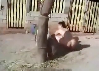 Young girl is masturbating a small horse cock - بصیرت ہارس بھاڑ میں جاؤ