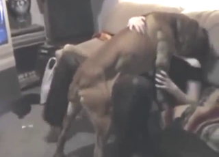 MILF with a thicc body wants dog's cock too
