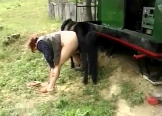 Sexy black pony fucking her wet cunt