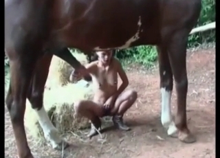 Slim babe sucking a huge stallion dick
