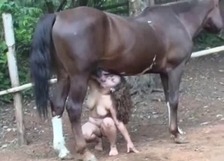 Insane doggy style fuck with huge stallion