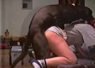 Playful big dog fucked her wet cunt