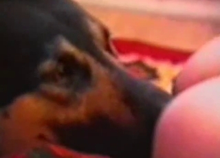 Beautiful redhead and her lovely dog