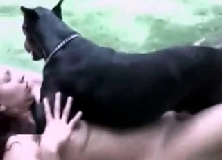 Black dogs love fucking white bitches