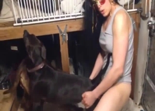 Great-looking boyfriend is enjoying fucking with his dog