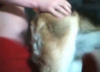 Fucking my amazing doggy from behind on cam