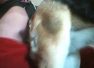 Fucking my amazing doggy from behind on cam
