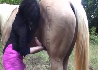 Cute masked chick is sucking a nice horse penis on cam