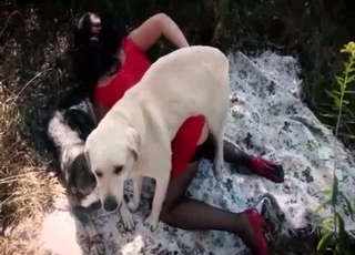 Outdoor dog porn action featuring a very nice model