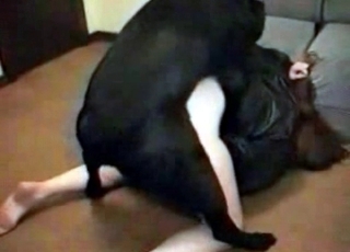 Zoophile hardly nailed by trained doggy