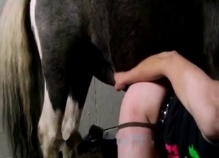 Horse cock is perfect for that hole