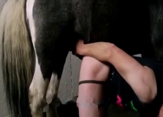 Horse cock is perfect for that hole