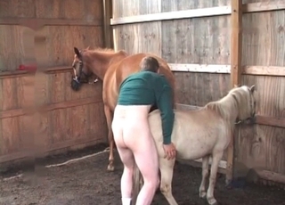 Farmer and his favorite horse