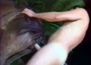 Dude violently fucking a hung horse