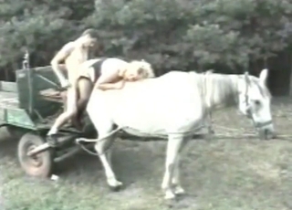 Family couple smashes on a horse