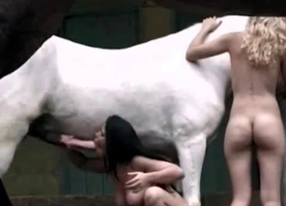 Milky horse is having naughty times with two sluts